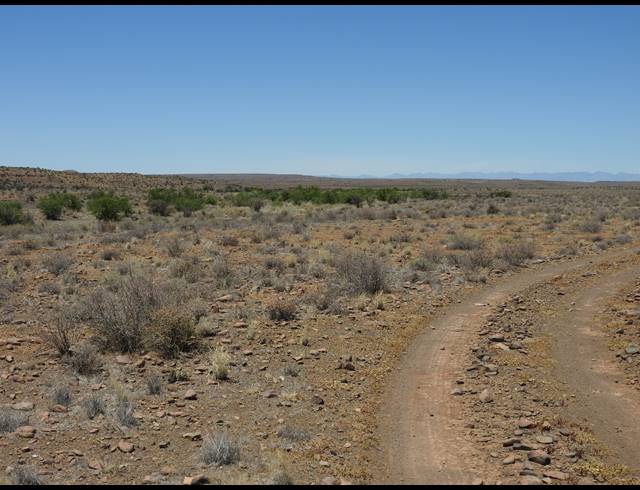 2,363HA FARM FOR SALE IN MERWEVILLE